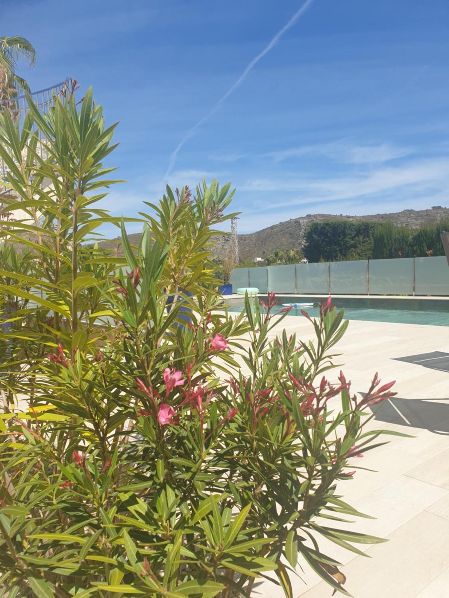 Casa Osimos Portet 450 M モライラ エクステリア 写真